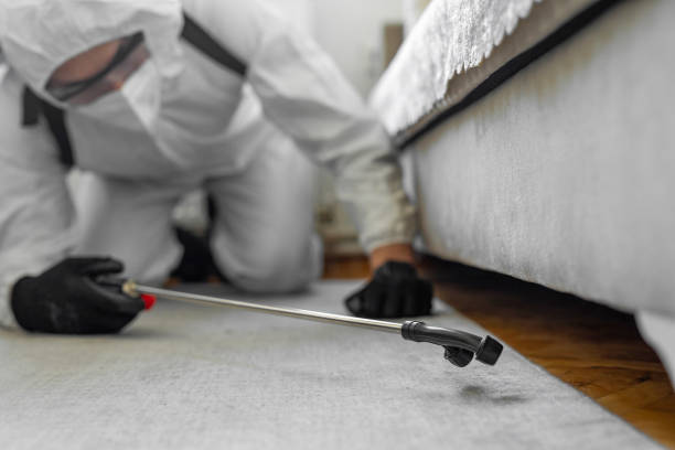 Professional Pest Control technician working in Cass County County, NE